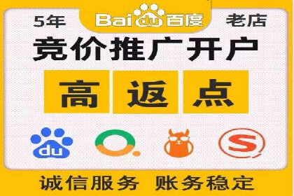 SEM服务在本地化营销中的应用案例
